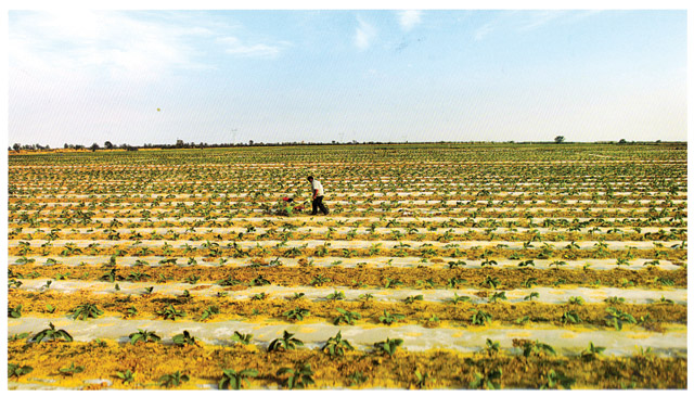 工程案例 工程案例